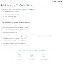 Or that it's mostly made up of iron, oxygen, and silicon? Quiz Worksheet The Pupil Of The Eye Study Com