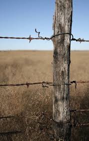 pin by kelly croghan on cottages cattle ranch old fences wire fence barbed wire