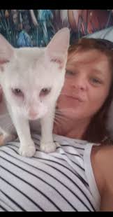 Lost Cat in Treasure Valley Area