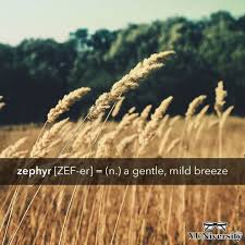 The Wordoftheday Is Zephyr Which Means A Gentle Breeze For Example Nan Relaxed As The Zephyr Short Quotes Passion Quotes Inspirational Quotes From Books