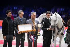 شنغهاي لمربط عجمان يظفر بفضية العالم ٢٠١٩ للفحول arabian horse fictional characters talk show