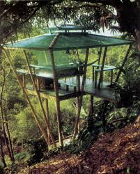 This is how we built our treehouse. How To Build A Treehouse Diy Mother Earth News