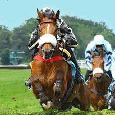 paris sur les courses de chevaux avec PayPal
