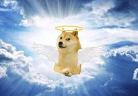 images?q=tbn:ANd9GcQ3m1bK5fZUWkz1ZGQv7dF