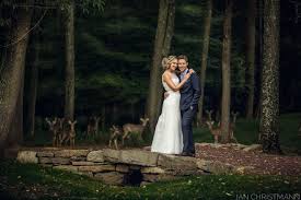 Smiling horse photobombs bride's wedding day photos—and the internet loves it. The 23 Best Photobombs That Made These Weddings Even More Memorable