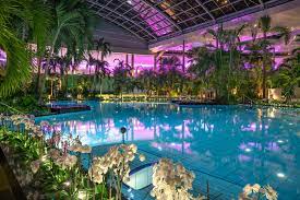 Einer der drei unvergleichlichen bereichen der therme sinsheim ist das palmenparadies. Bilder Thermen Badewelt Sinsheim In Sinsheim Fotos Impressionen