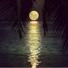 See more ideas about beautiful moon, pictures, moon. Beautiful Moon And Photography Image 3566808 On Favim Com