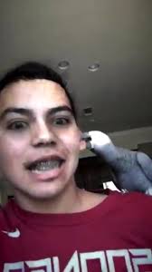 Traumatized Bird with Filter