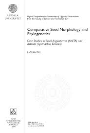 Image result for Lysimachia tenuicaulis