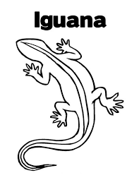 Here's a set of printable alphabet letters coloring pages for you to download and color. Gecko Or Iguana Coloring Page Download Print Online Coloring Pages For Free Color Nimbus