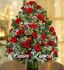 Saraseragmail Com Buon Lunedi Rose Belle Fiori Di Compleanno Mazzo Di Fiori