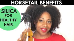 Silica is good for hair because it is good for the development of almost every part our body. Horsetail For Faster Hair Growth Horsetail Plant Tiptuesday Youtube
