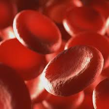 Image result for Anticoagulation