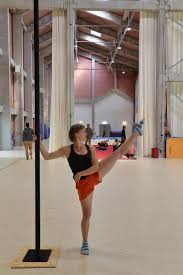 The National Circus Arts Centre Has Been Expanded By French Studios Caractere Special And Np2f Architectes Arquitetura E Urbanismo Urbanismo Arquitetura