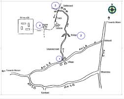 Image result for Pleioceras gilletii