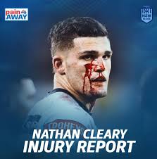 Nsw blues state of origin (15). 8ntaoqceratv9m