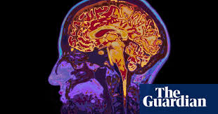 Simulation theory tackles some heavy the question of if we live in a simulated universe has been hotly debated since the enlightenment period. Why Your Brain Is Not A Computer Neuroscience The Guardian