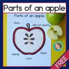 Pin On Preschool Science