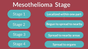 If You Or A Loved One Has Been Diagnosed With Mesothelioma You May Be Entitled To Compensation Mesothelioma Mem Mesothelioma Compensation Attorney Office Decor