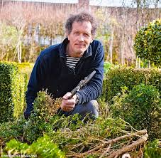 Order online at ashridge nurseries. My Hedge Hell Monty Don On How His 15 Year Hedge Growing Project Has Been Decimated By Box Blight Daily Mail Online