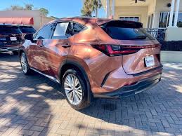 Image result for Autumn Shimmer 2018 NX