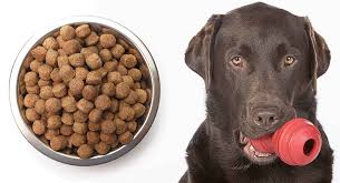However, all dogs can take advantage of stimulating toys such as this one. Dog Toy With Peanut Butter Inside Www Macj Com Br