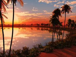 Beautiful themes and screensaver hd, 4k & 8k. 50 Free Desktop Wallpapers And Themes On Wallpapersafari