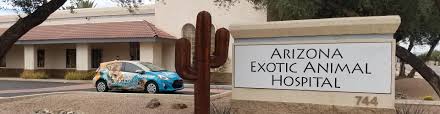 At tempe veterinary hospital in tempe, az, we offer individualized care to meet your pets' needs. Arizona Exotic Animal Hospital Veterinary Care For Exotic Pets In Phoenix Mesa Tempe Chandler Gilbert Az