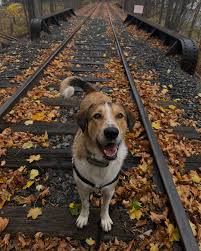 Lindsey Haskell (@simplelinds) • Instagram photos and videos