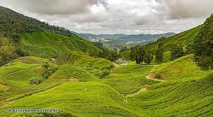 Embark on a visual journey of cameron highlands resort. Cameron Highlands 1080p 2k 4k 5k Hd Wallpapers Free Download Wallpaper Flare