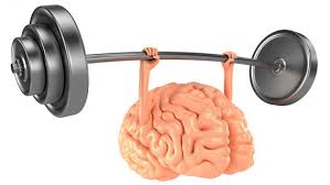 Image result for OTAK
