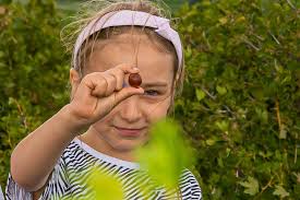 Agrest w dobrej formie