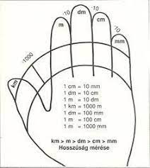Tausenderfeld pdf / tausenderbuch tausenderfeld pdf : Hand Facts Our Hand Toys Spinners Fit Every Fidget Hand Check Them Out Www Dizzyspinners Com Satisfying Your Ever Math Lessons Math For Kids Studying Math