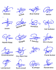 Image of Signature style