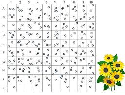 Random Sampling Estimating Population Size Ecology Activity Biology Lessons Teaching Ecology