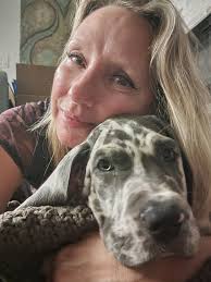 Adoptable puppies in Satellite Beach, Florida. Discount for military,  teachers, and single parents