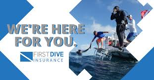 Windstorm@tdi.texas.gov texas department of insurance windstorm inspections program p.o. First Dive Insurance Is Here For You Sdi Tdi Erdi Pfi