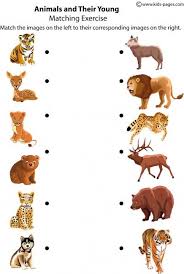 Animals And Their Young Worksheet Animal Worksheets Preschool Activities Animals
