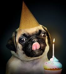 Pin Su Compleanno In Quarantena