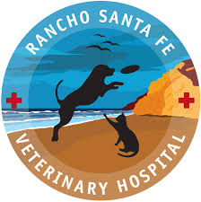 I was a little skeptical at first thank you so much for treating all of my pets with care and dignity. Dog And Cat Hospital Berkeley