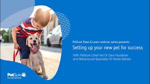 Browse through webinar pet poison helpline has hosted in the past from various veterinary professionals. Petsure Paws Learn Webinar Setting Up A New Pet For Success