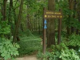 Mohawk trail state forest also has some of the tallest trees in massachusetts, with 15 species reaching record heights, including 35 white pine trees over 140 feet in height. Mohican Mohawk Trail Mass Gov