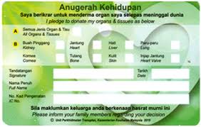 100% derma anda akan disalurkan kepada misi kami untuk mencapai pendidikan yang cemerlang. Daftar Sebagai Penderma Mybuahpinggang Com