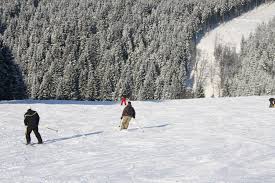 Matthias mayer wins breathtaking bormio downhill! Piste Ski Alpin Ovifat Ski Resort Resort And Ski Area Overview