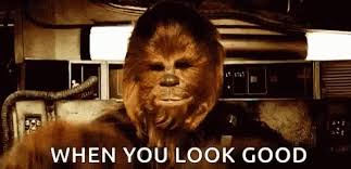 One experienced volunteer contributes all chapters of the project. Looking Good Chewbacca Gif Lookinggood Chewbacca Wookie Discover Share Gifs Happy Star Wars Day Star Wars Watch Star Wars Characters