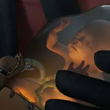 Death stranding collector's edition includes Death Stranding Collector S Edition Is Packed With A Life Sized Baby Polygon