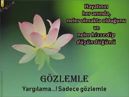 Kendimizi Tanimak Bu Hayatta Sahip Olabilecegimiz En Degerli Bilgidir Kendimizi Taniyabilmemiz Icin Oncelikle Yargisiz Gozlem Aliska Psikoloji Anilar Hayat
