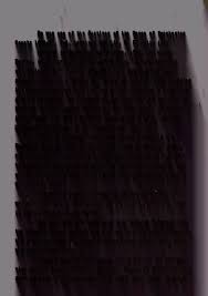 The LeComptes: a history of the family of Monsieur Antoine LeCompte and his  descendants from the first settlement in Dorchester