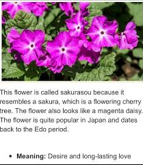 Discover the symbolism behind your favorite flowers and learn about them, their meaning and their importance to human society and culture. Is There Any Symbolism In Attack On Titan Quora