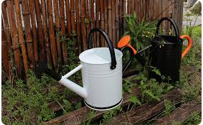 Here's how to find the best can opener for you. Amazon Com Cesun Metal Watering Can Galvanized Steel Watering Pot With Removable Spray Spout Movable Upper Handle 1 Gallon For Outdoors Gardening Baked Orange Kitchen Dining